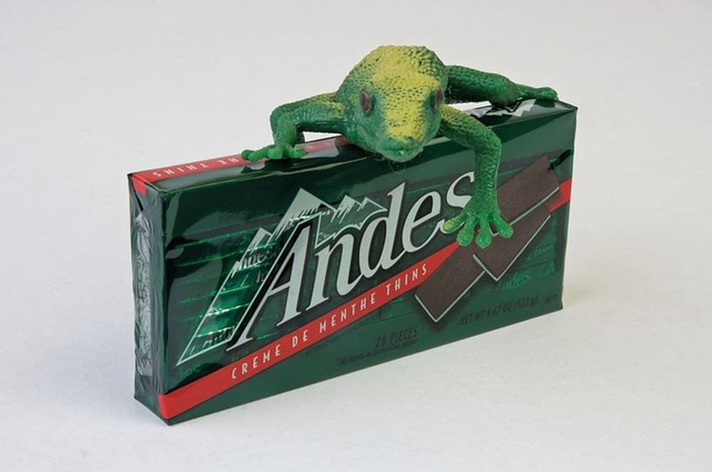 grenouille des andes