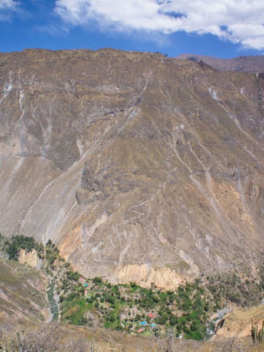 Canyon de Colca, Pérou