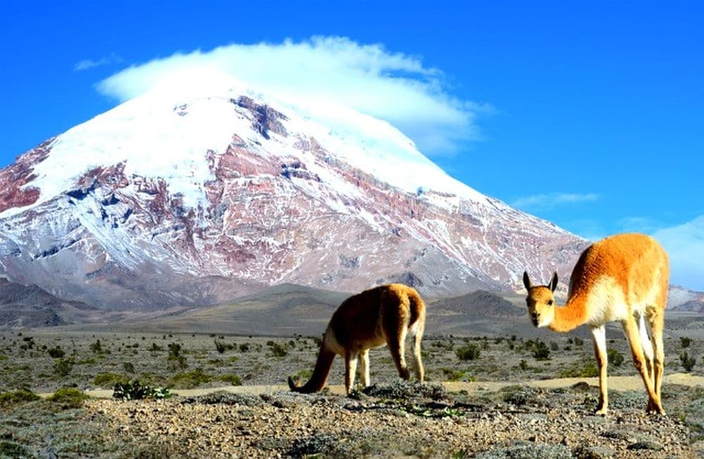 Chimborazo