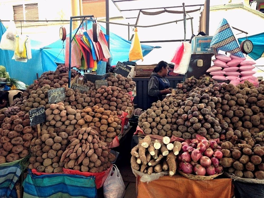 Mercado San Camilo