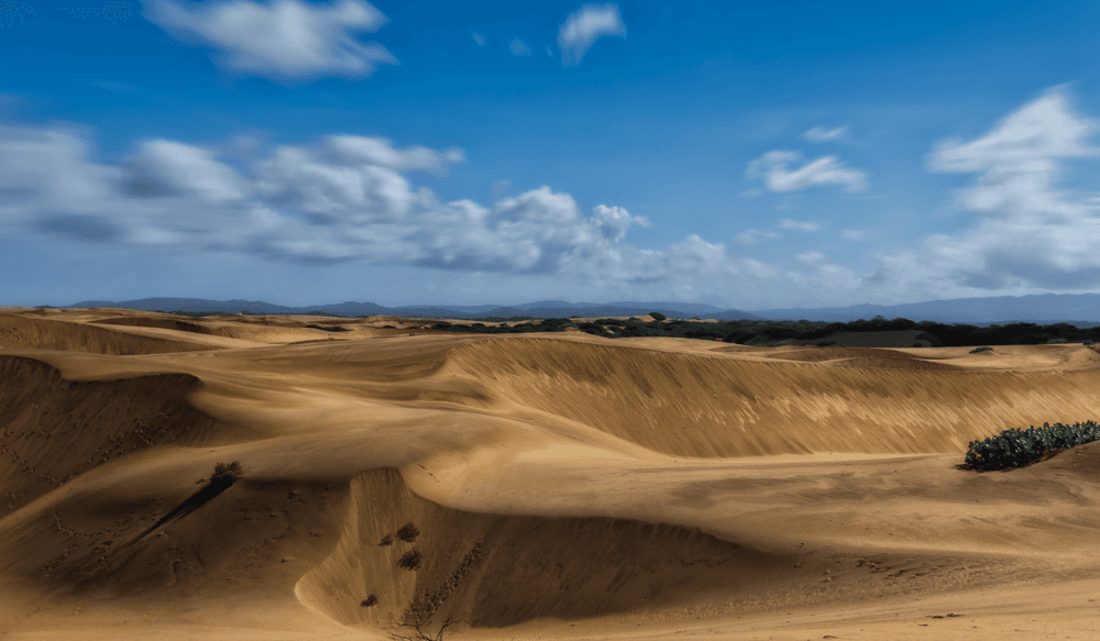 Medanos de Coro