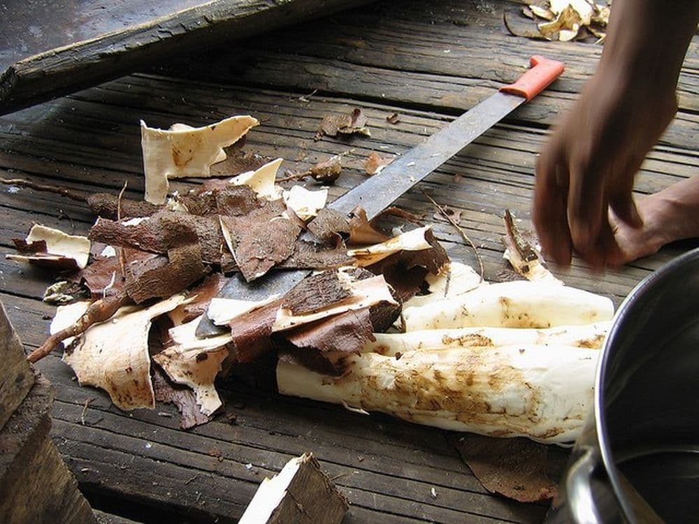 travail du manioc