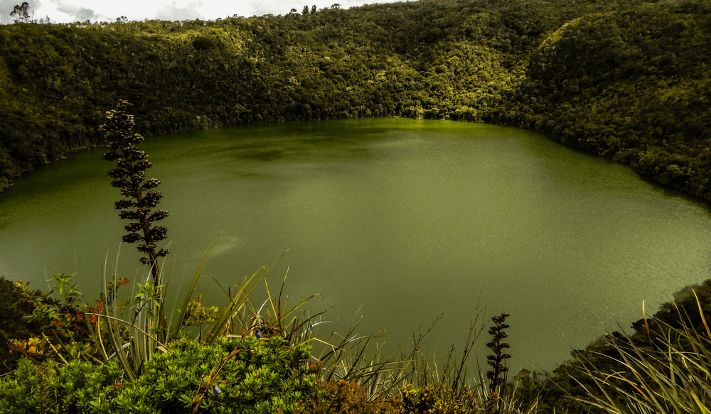 nature_colombia