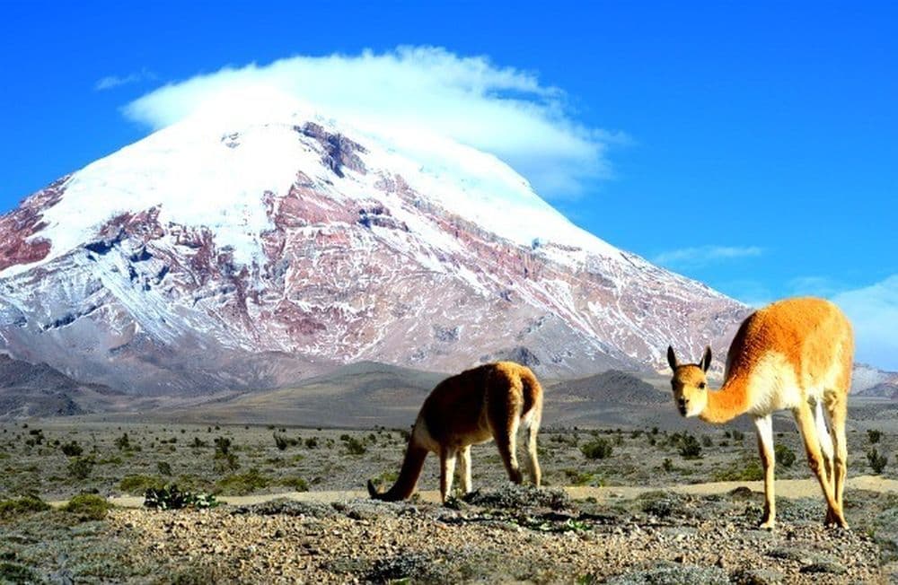 Chimborazo