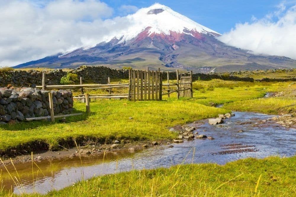 Vue sur le Cotopaxi