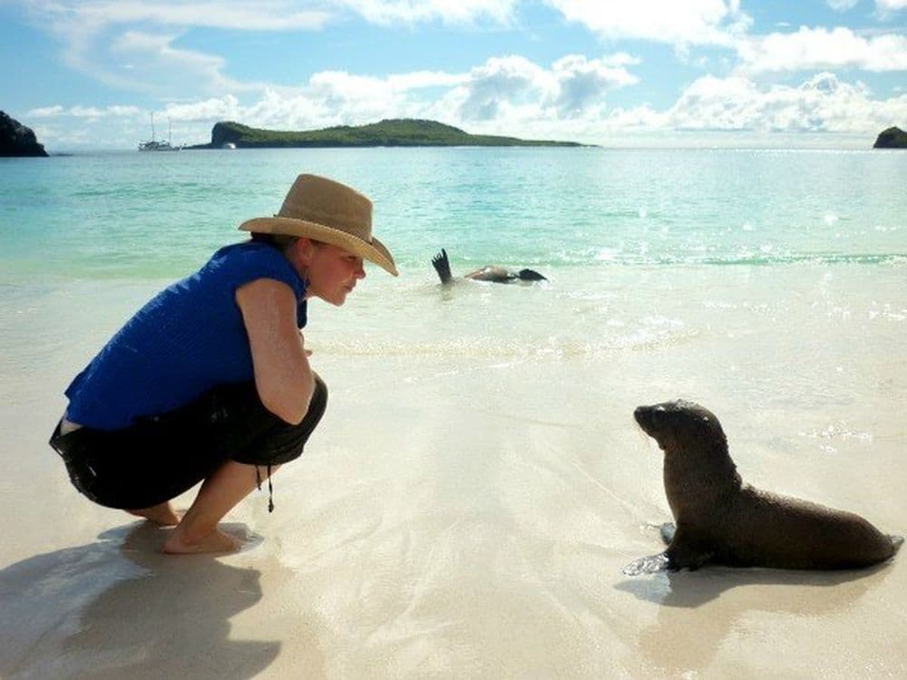 À la rencontre des loups de mer aux Galapagos