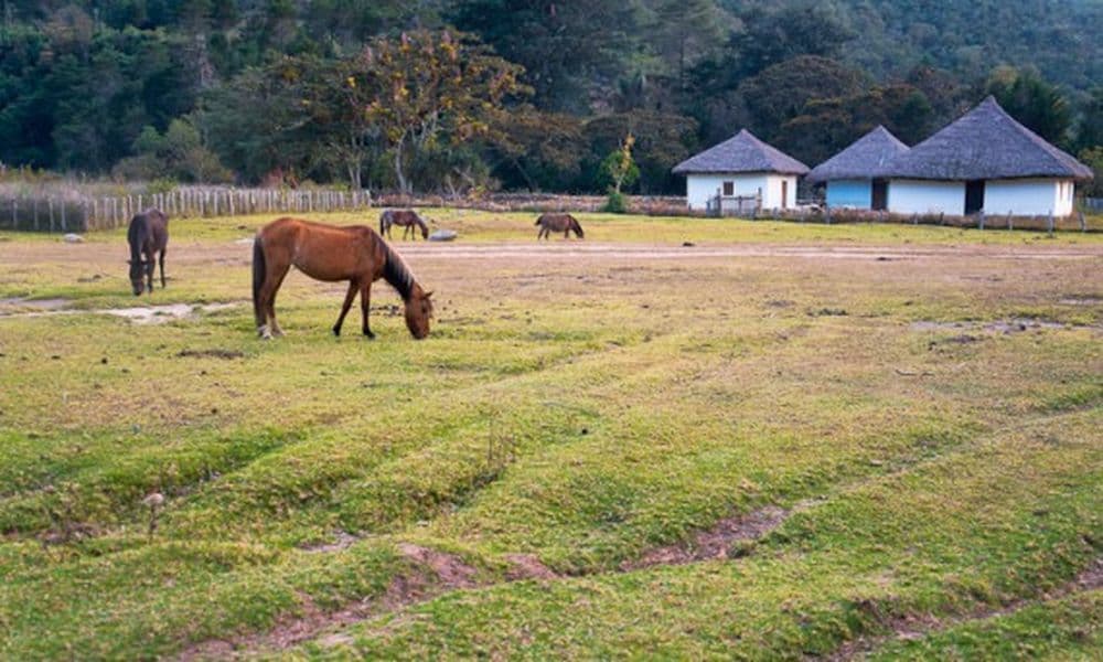 In Nabusimake, Colombia