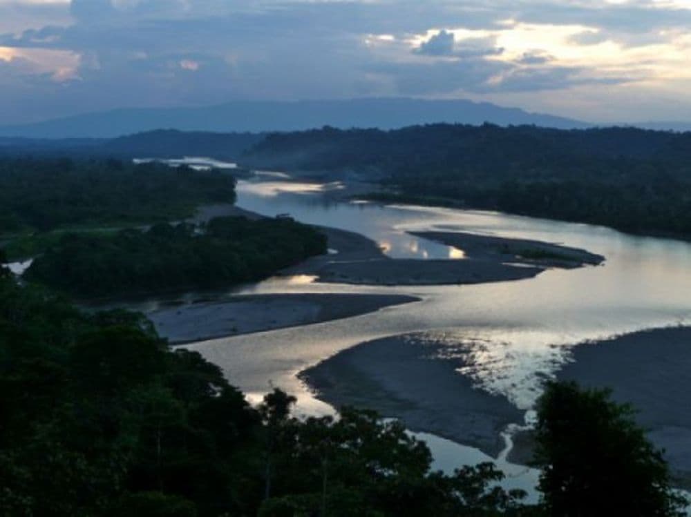 forêt amazonienne au Brésil