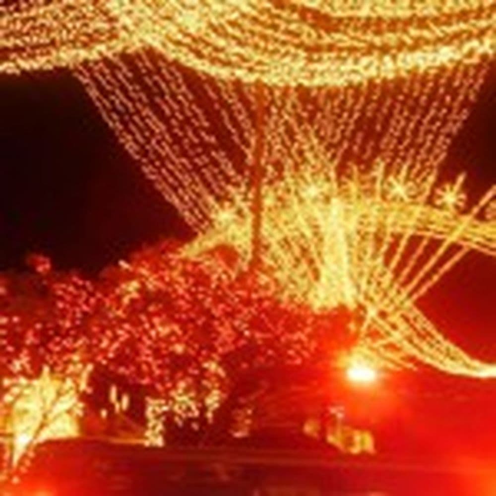 navivdad
