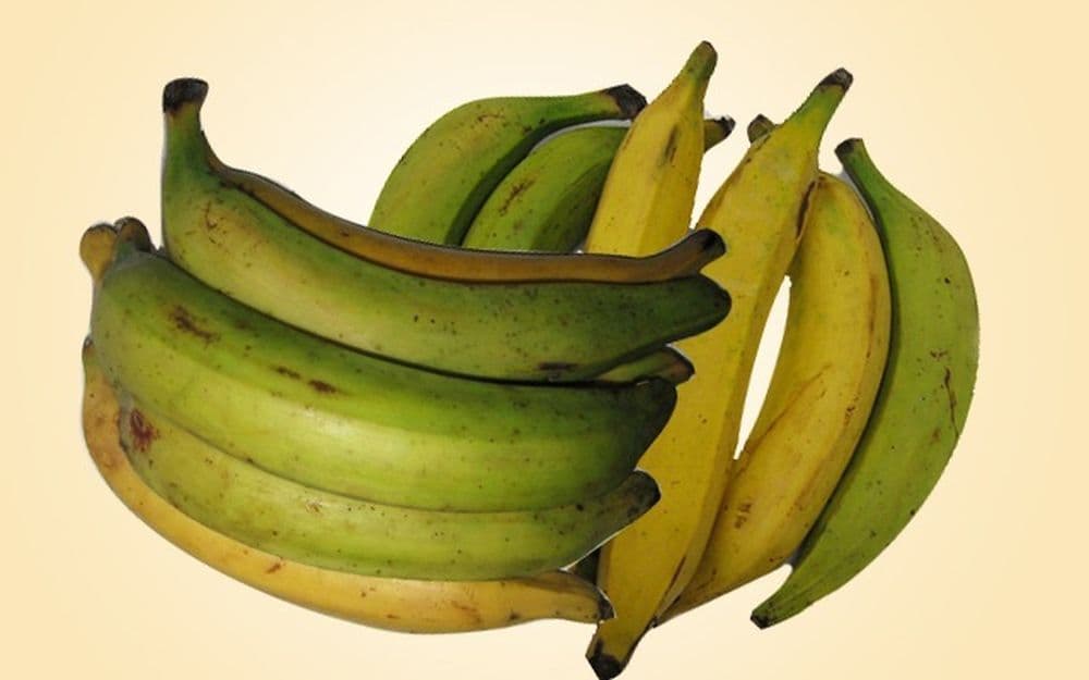 plantain vert