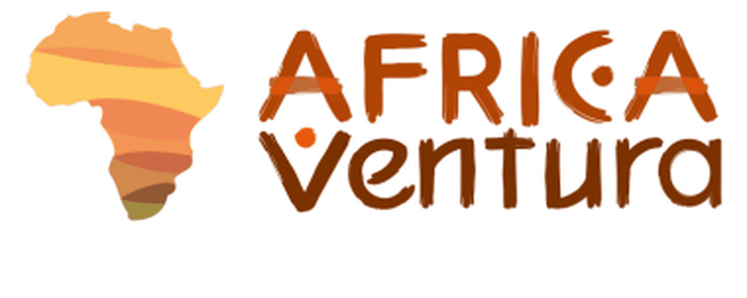 Logo_vtt