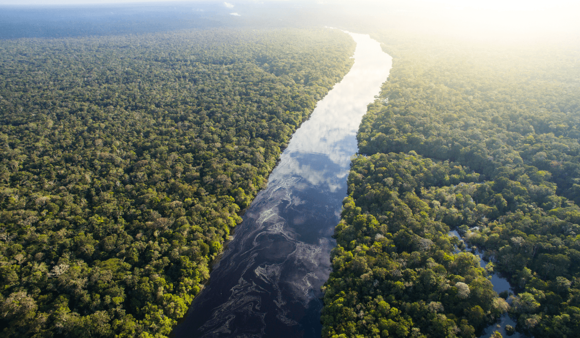 Le bassin amazonien