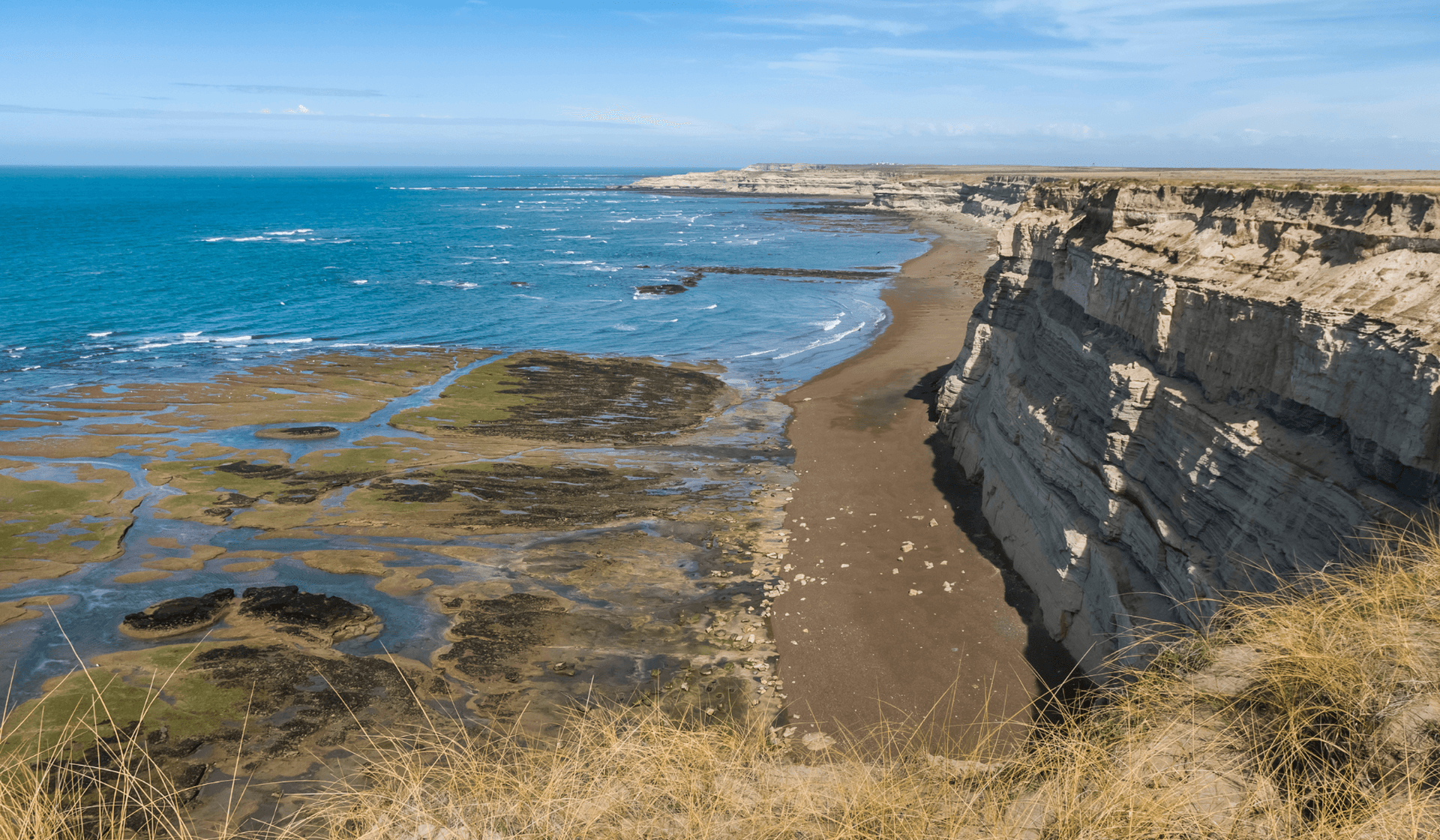 Safari sauvage sur la péninsule de Valdés en Argentine