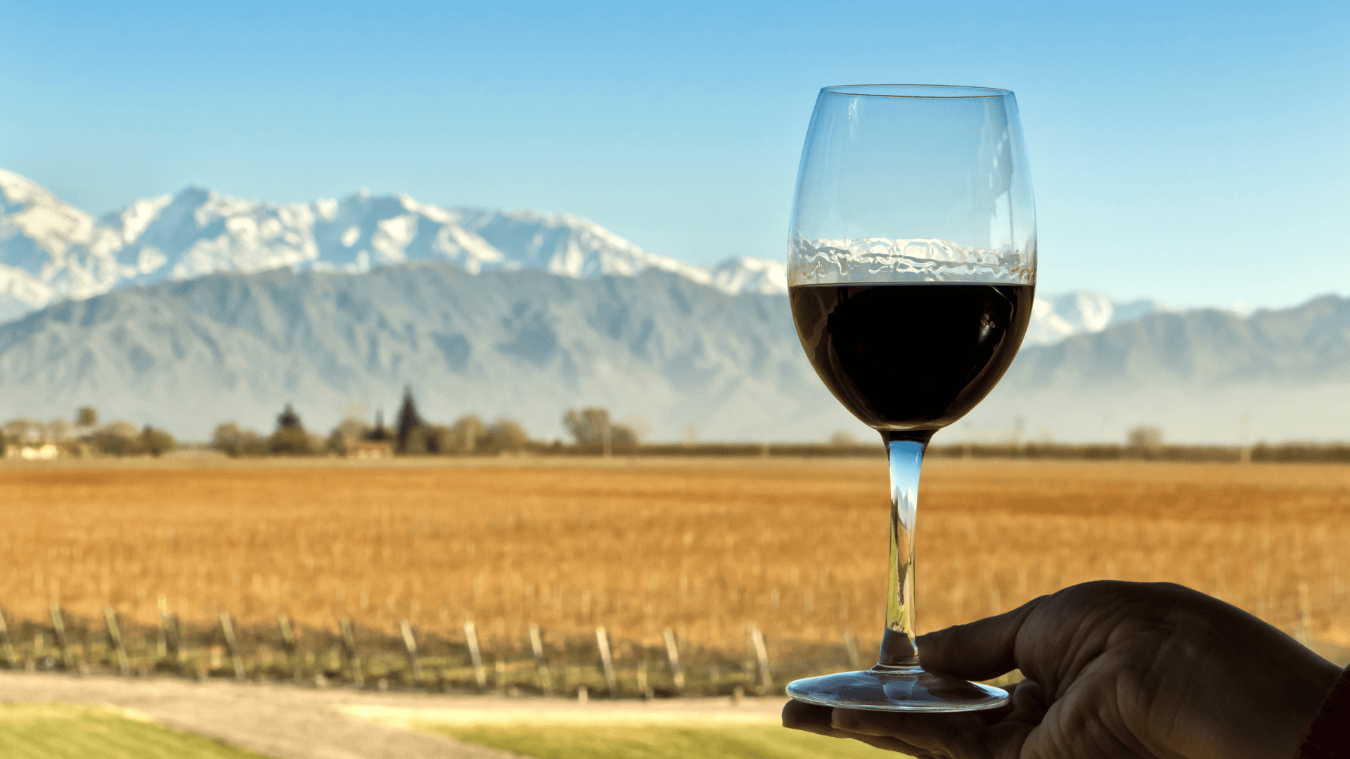 Vins du Nouveau Monde du Cône Sud : le Chili contre l’Argentine