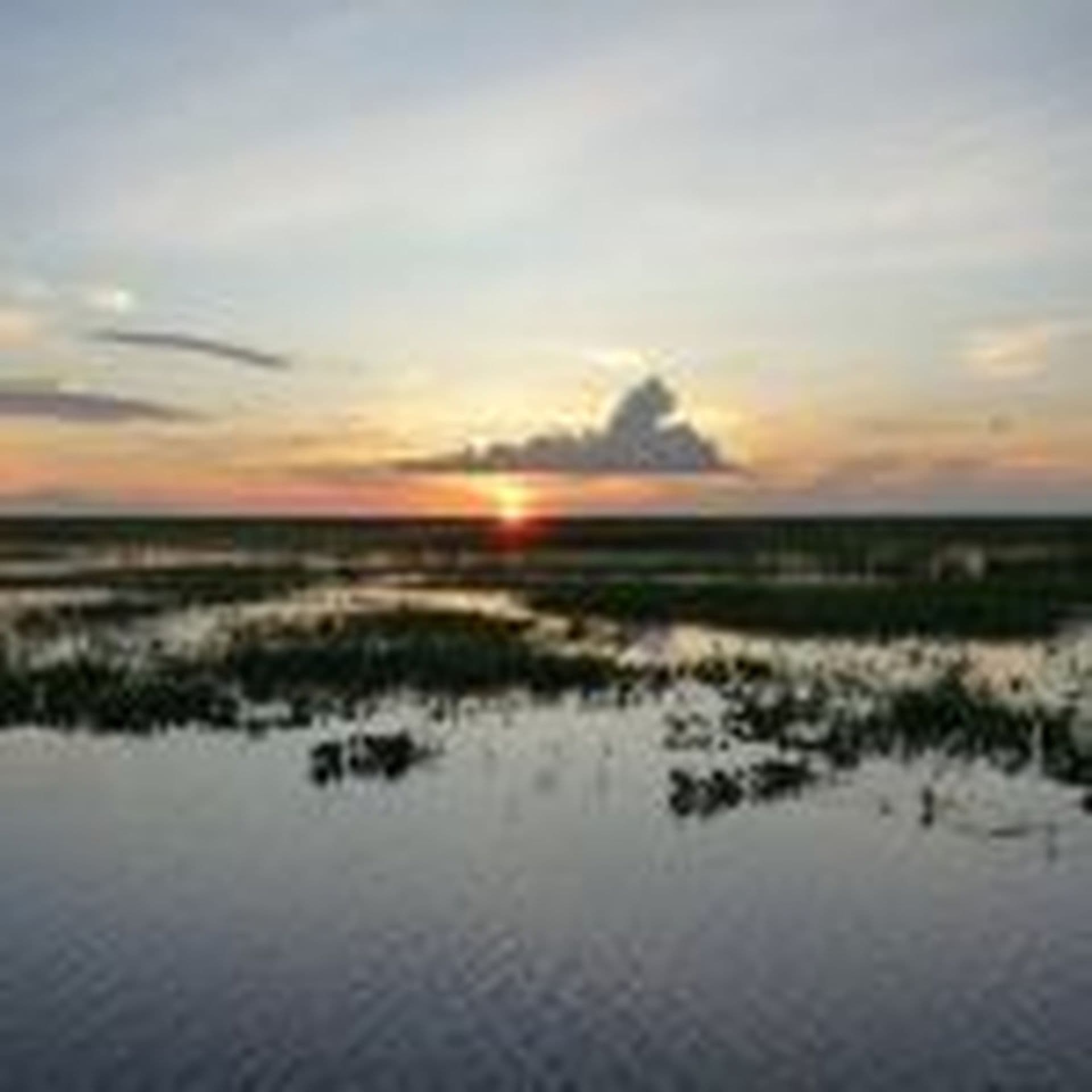 Venezuela - Artenreiche Llanos