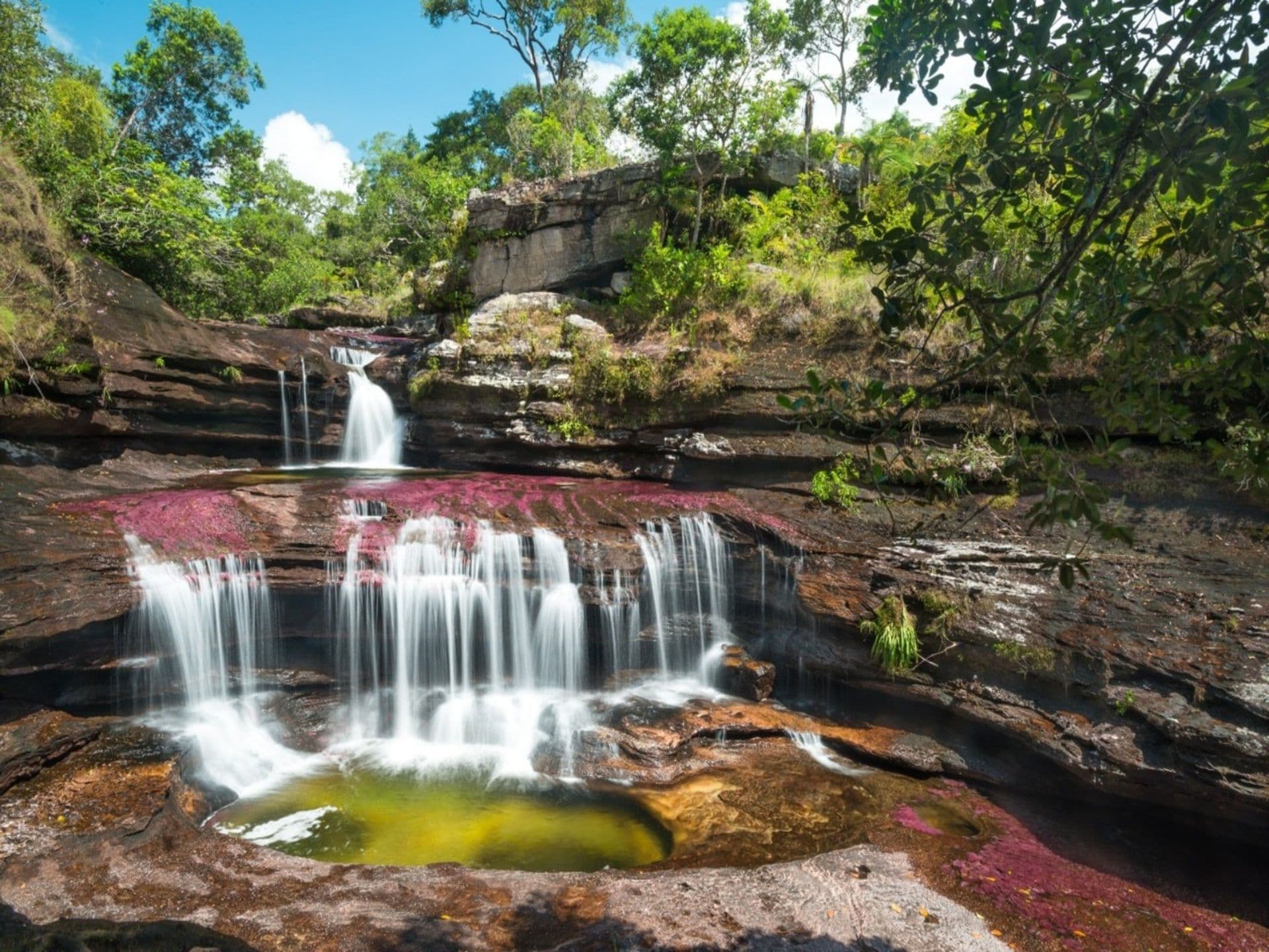 Caño cristales, la rivière qui s'est échappée du Paradis 
