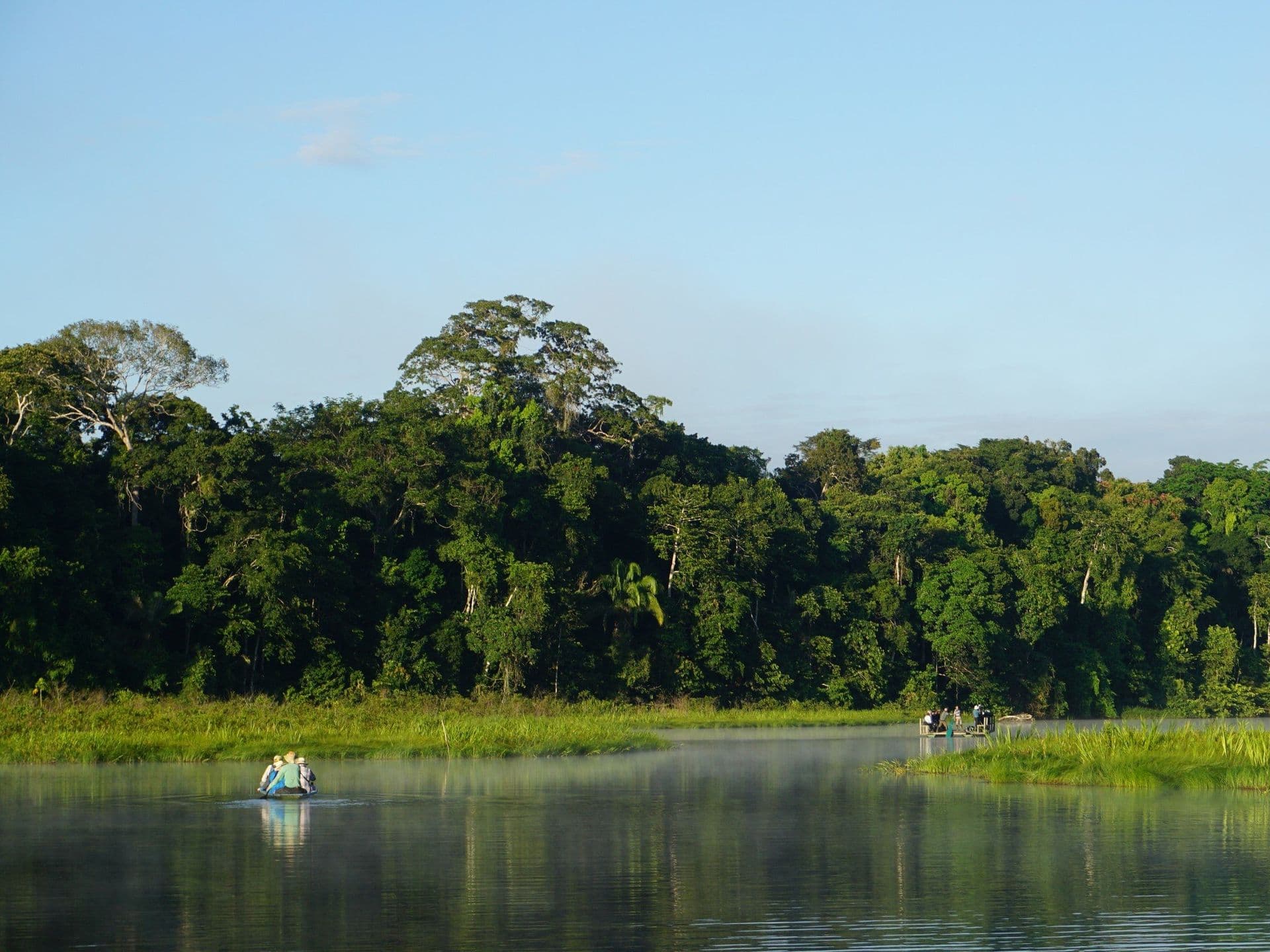 Découvrez la jungle péruvienne