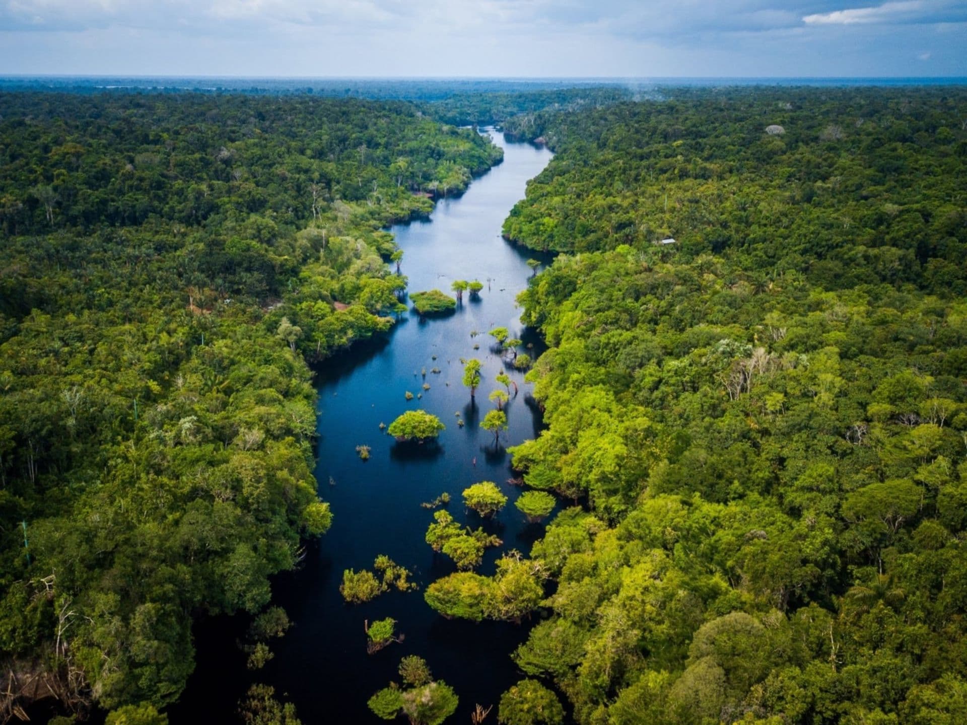 Voyage en amazonie