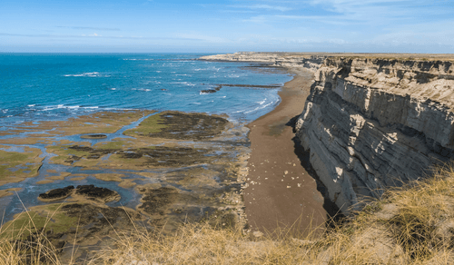 Safari sauvage sur la péninsule de Valdés en Argentine