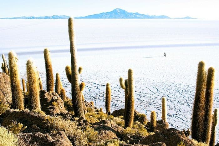 Vi_BO_Salar Uyuni10