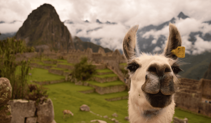 Peru