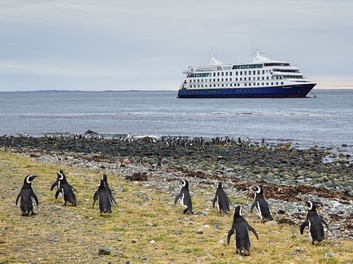 Jetzt haben auch die Pinguine 