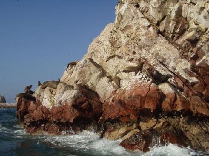 Ballestas Inseln