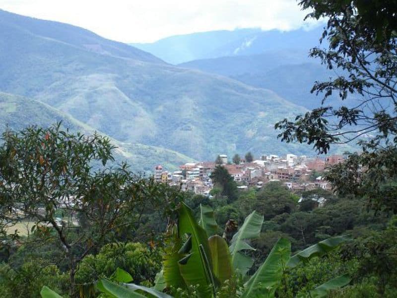 Coroico