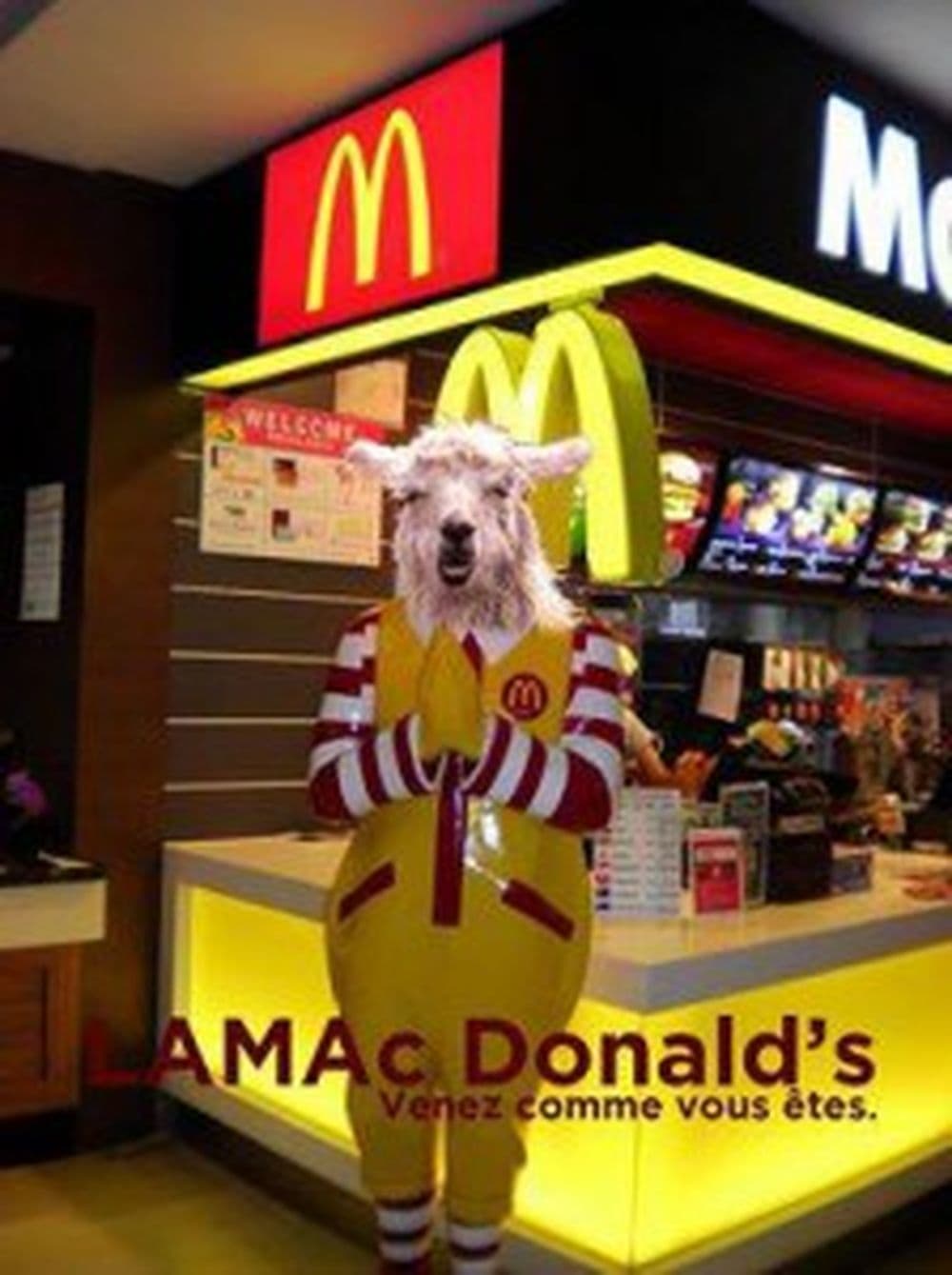 Serge le Lama chez Mc Do