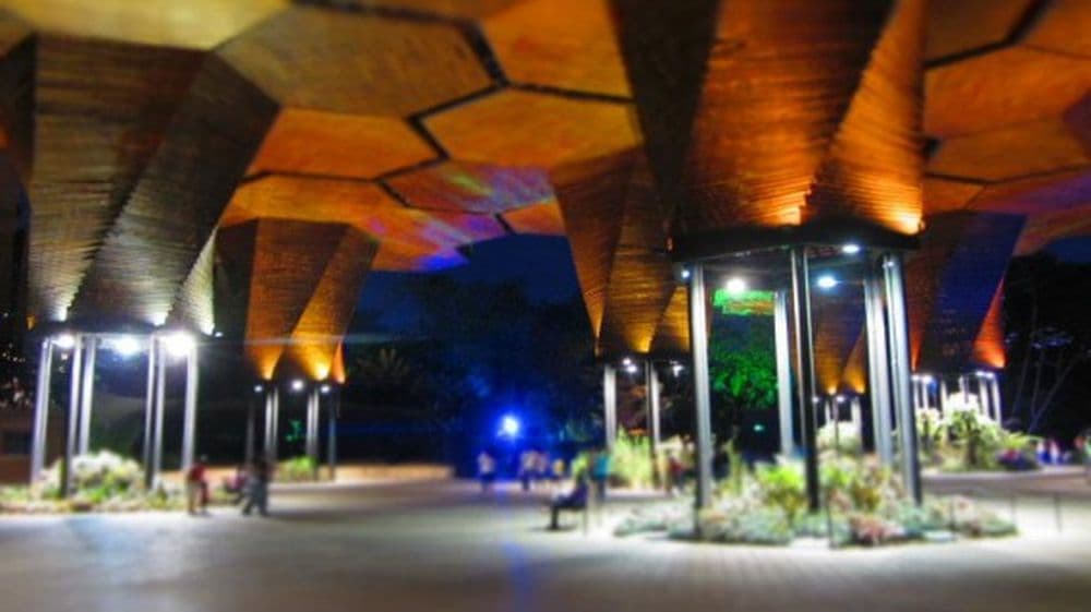 jardin botanico