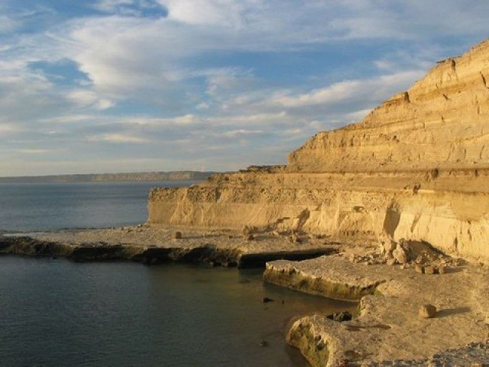 voyage Argentine peninsule de Valdes