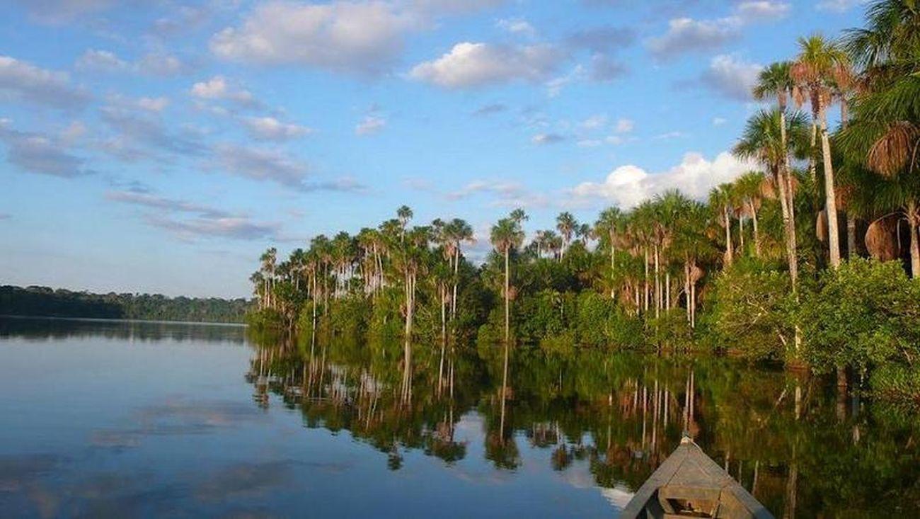 Madre De Dios, Lago Sandoval, Amazonia Peru