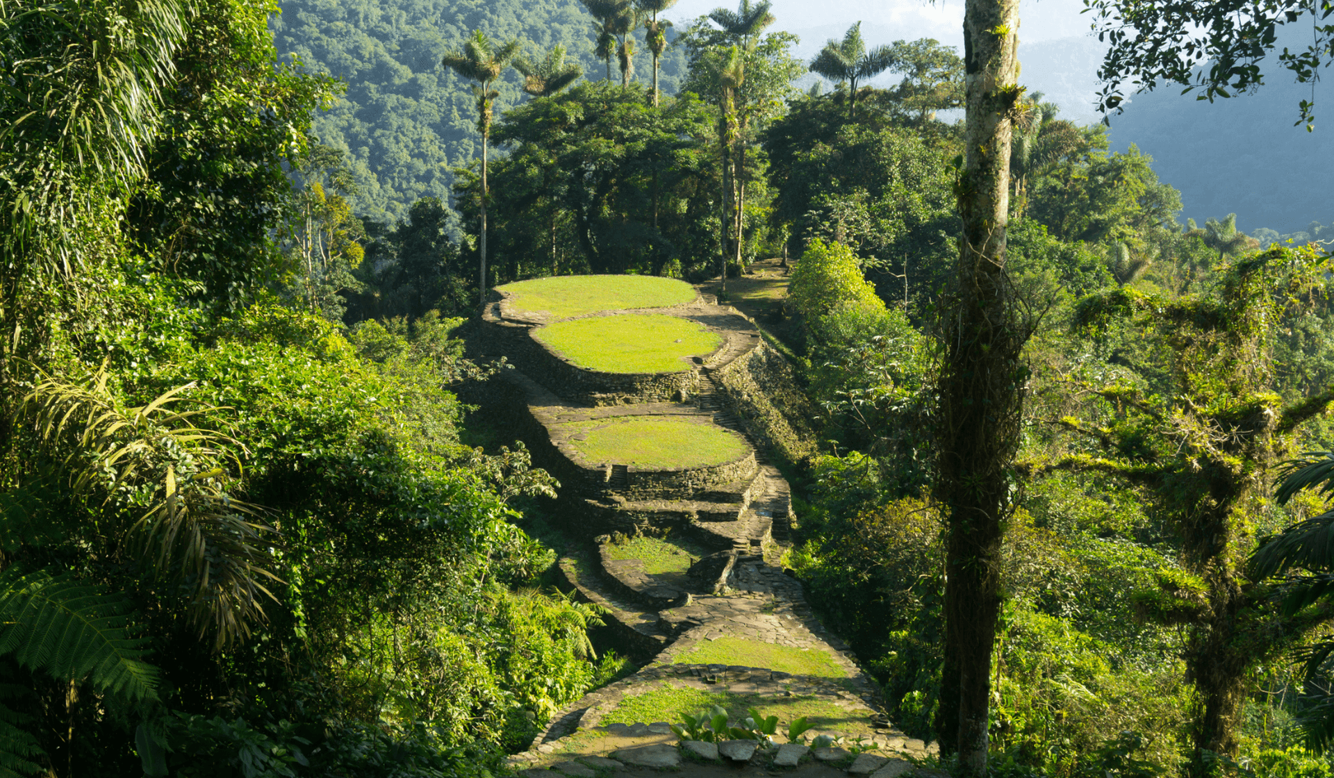 Ciudad Perdida, la « cité perdue » dans la jungle colombienne