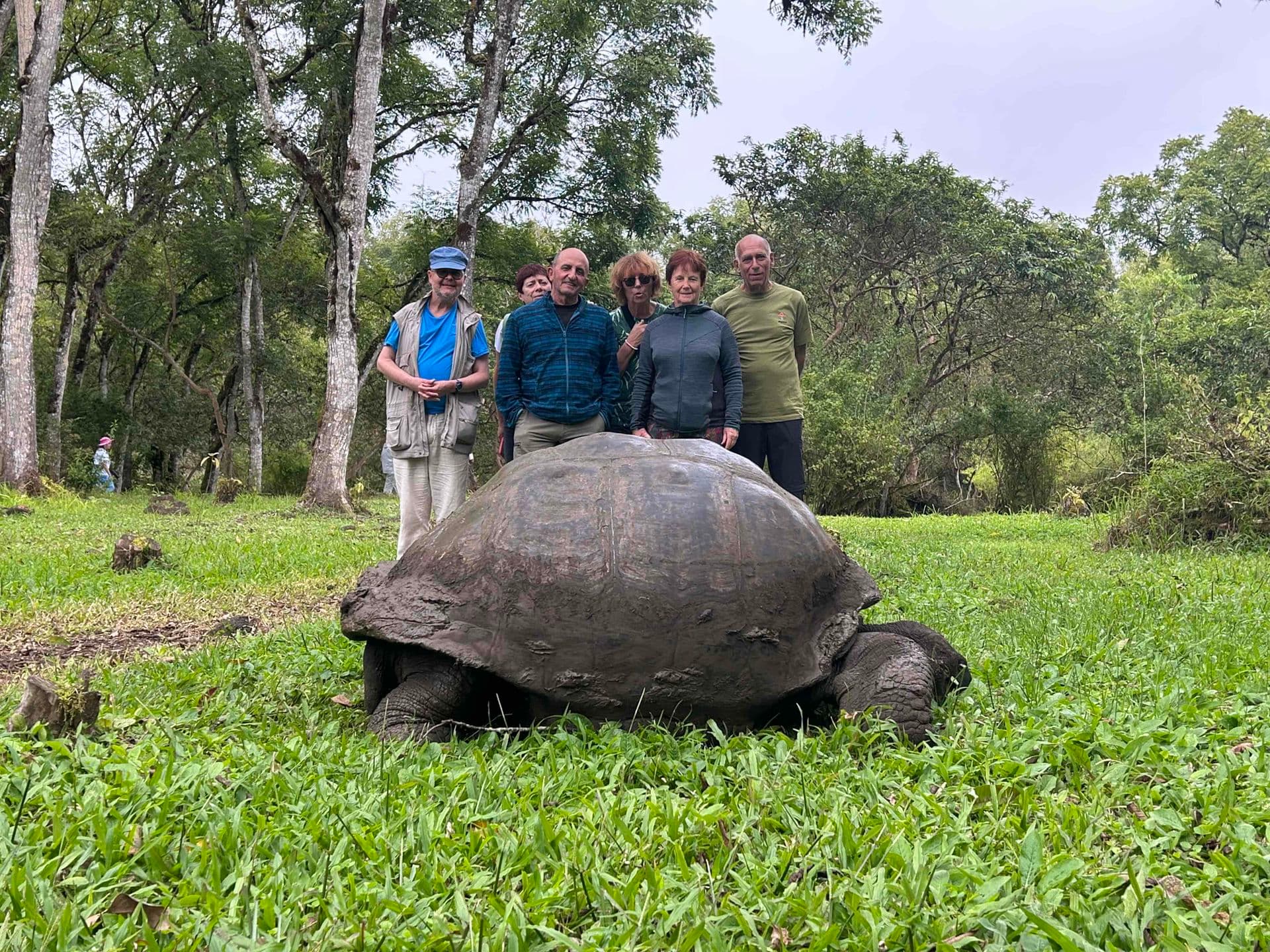 Tortue terrestre géante des Galapagos