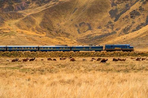 perurail