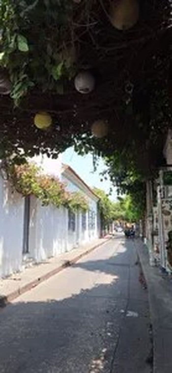 City tour de Cartagena