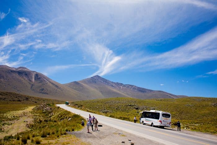 altiplano bus 