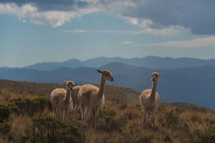 Humahuaca