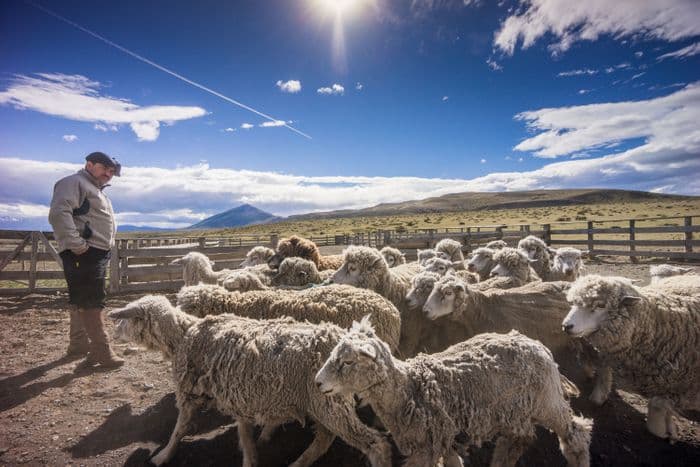 estancia patagonia