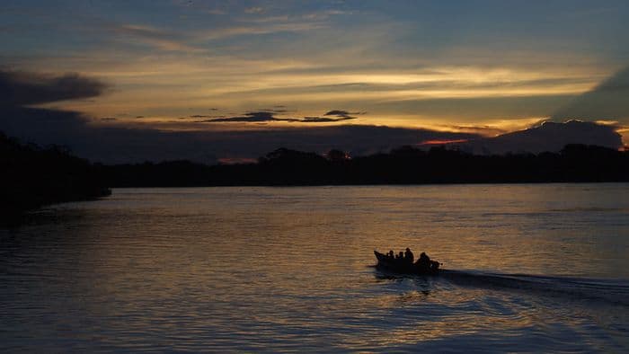 Puerto Maldonado, Amazonia Peru 