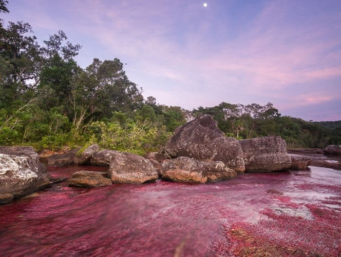 Caño cristales