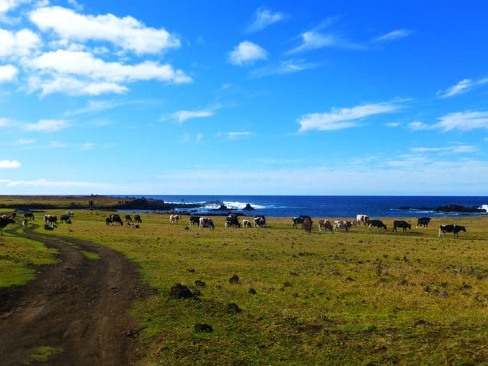 Easter island