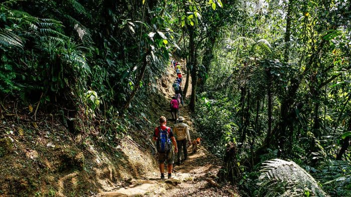 Ciudad perdida trek