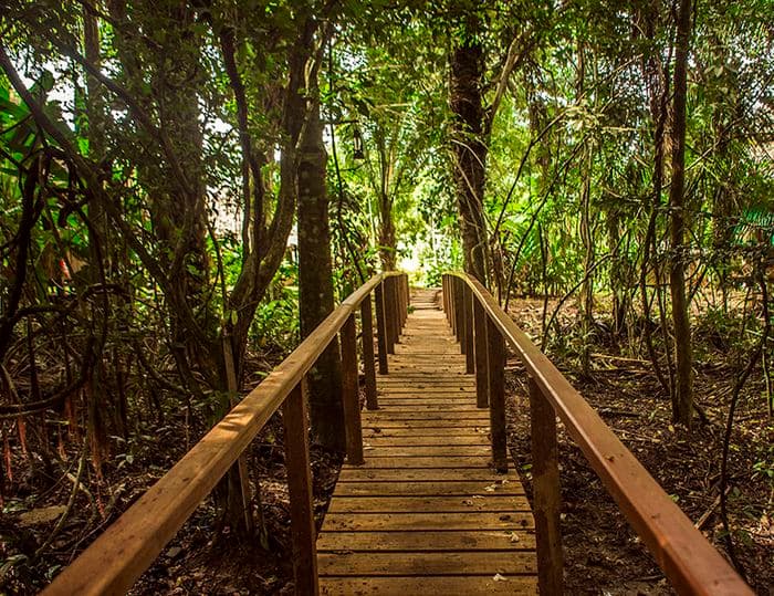 Tambopata, Corto Maltes lodge