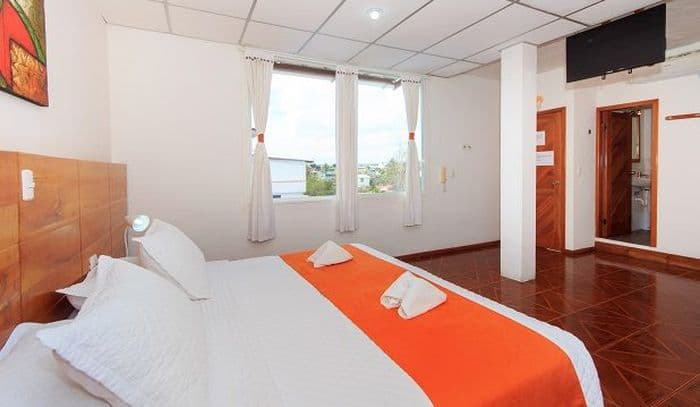 Casa de Judy standard