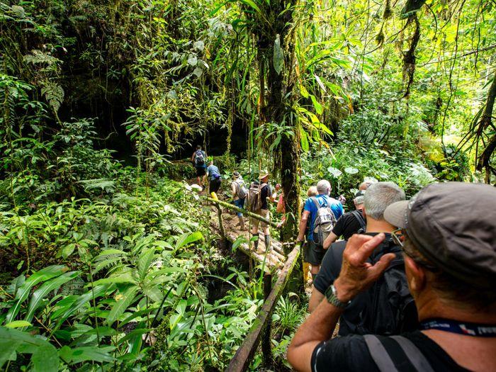 amazonas archidona djungle ecuador vivideo 881 - Exploring the Amazonas in Archidona, Ecuador