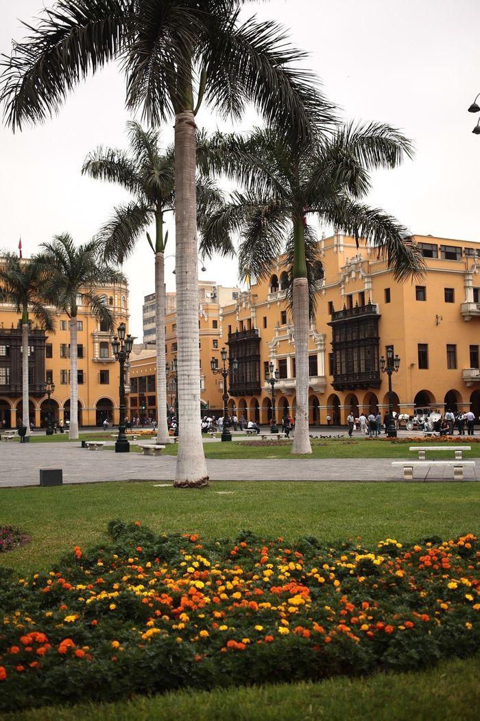 La ville des rois, Lima...