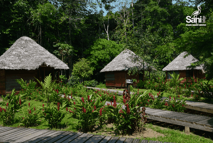 Sani Lodge, Yasuni 