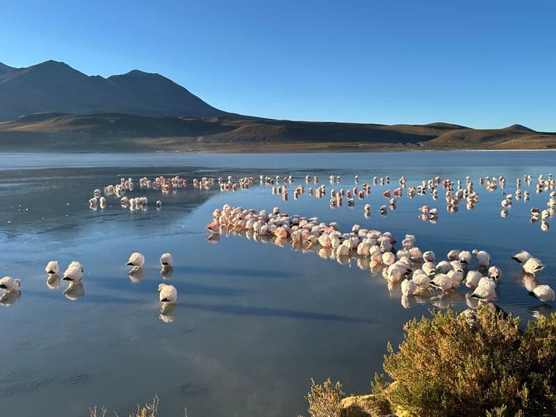 Sud lipez