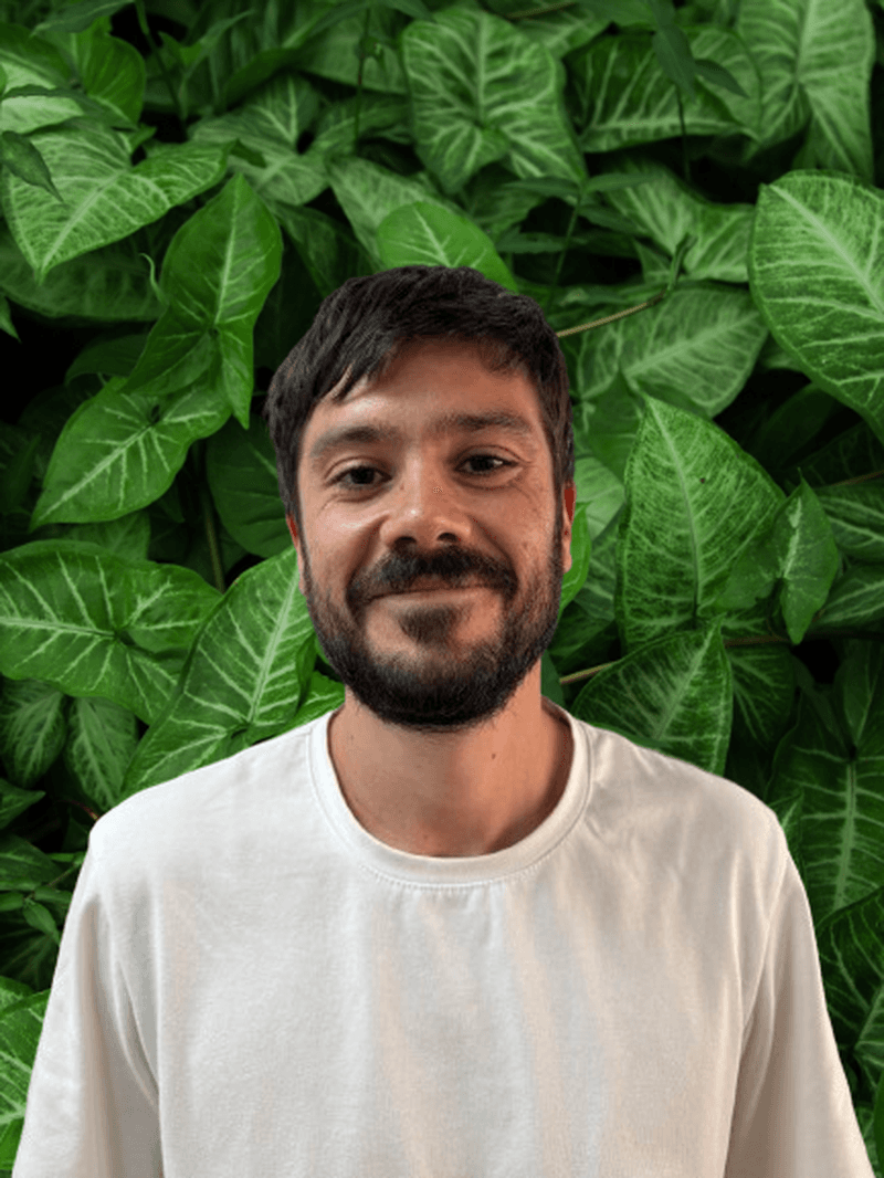 Martin